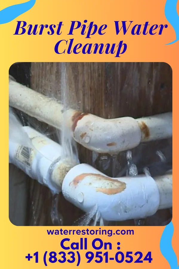 Burst Pipe Water Cleanup in Rome, WI