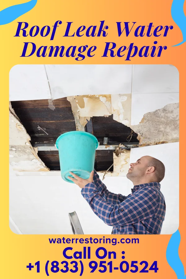 Roof Leak Water Damage Repair in Rome, WI