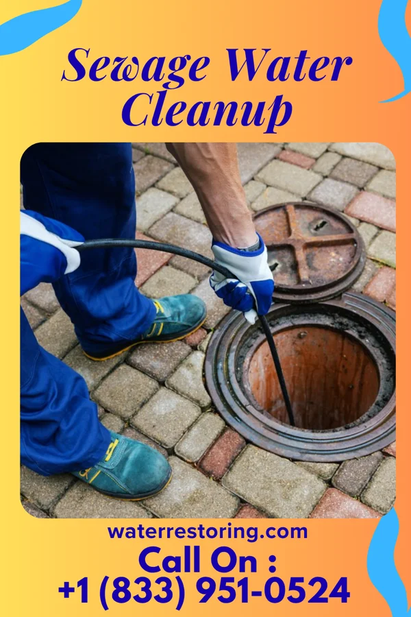 Sewage Water Cleanup in Rome, WI
